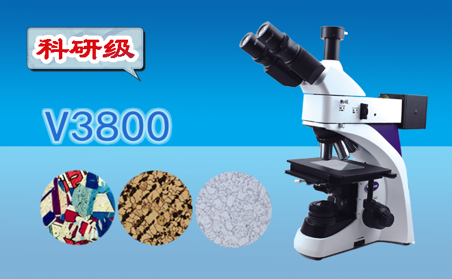 三目金相羞羞网页在线观看V3800