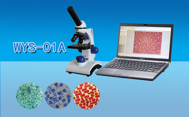 1668586421190988.jpg 學生羞羞网页在线观看.jpg